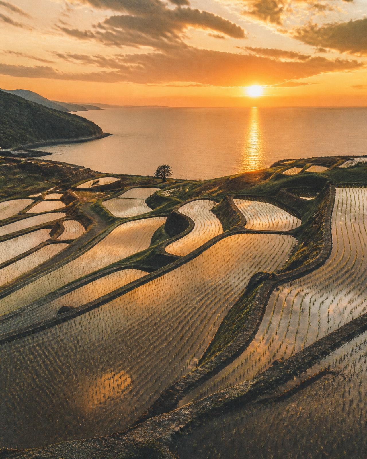 Flooded Hamanoura rice terraces reflecting a sunset over the sea in Saga, Japan